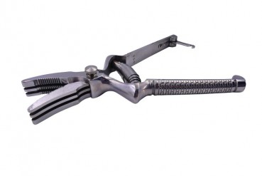 Masticateur Inox