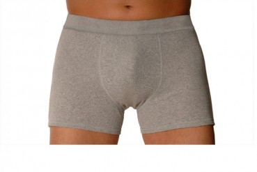 Shorty gris Homme